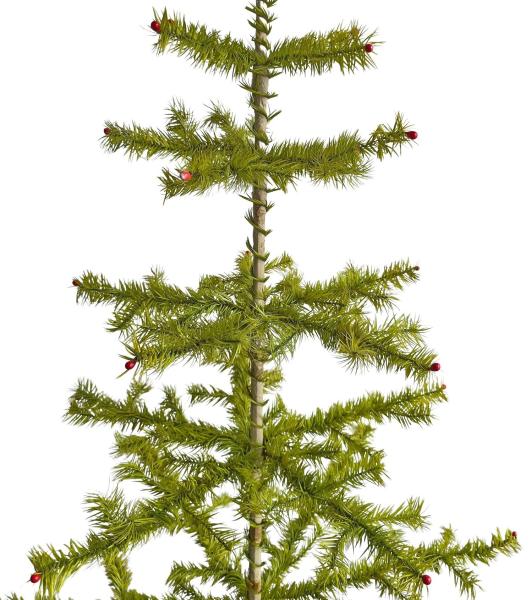 Antique Goose Feather Tree, 100 cm, ~1940