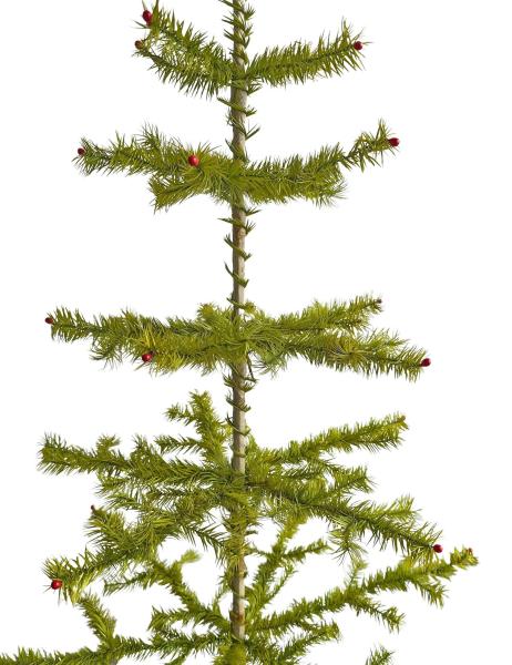 Antique Goose Feather Tree, 100 cm, ~1940