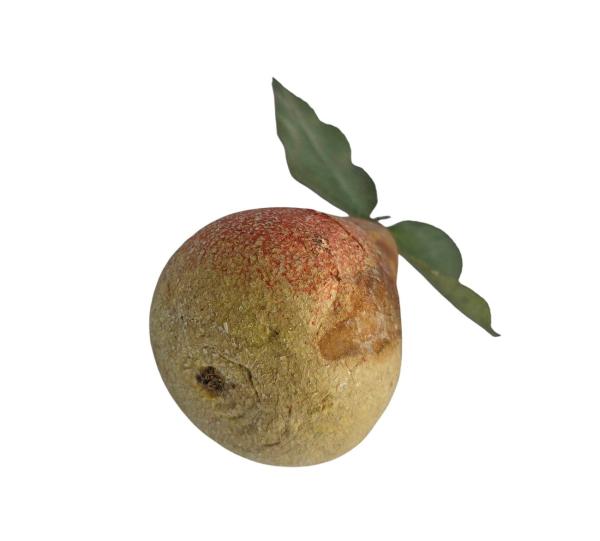 Frucht / Birne aus Watte um 1900