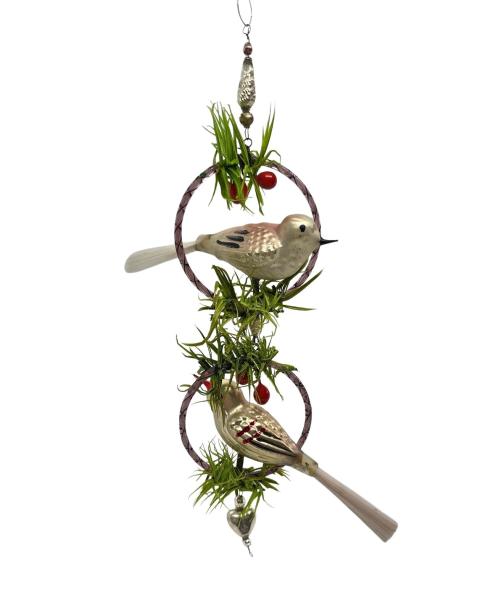 Gablonz birds in the ring