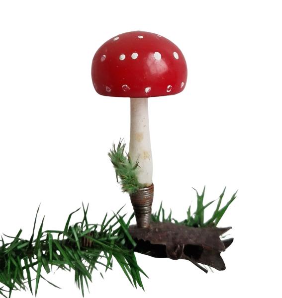 Fliegenpilz auf Zwicker ~ 1930