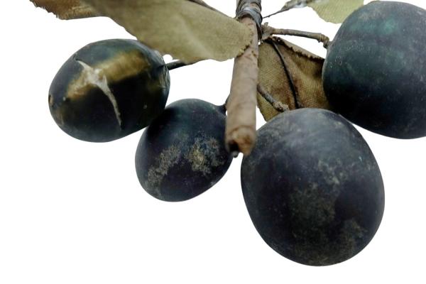 Plums, ~ 1880 / 1900