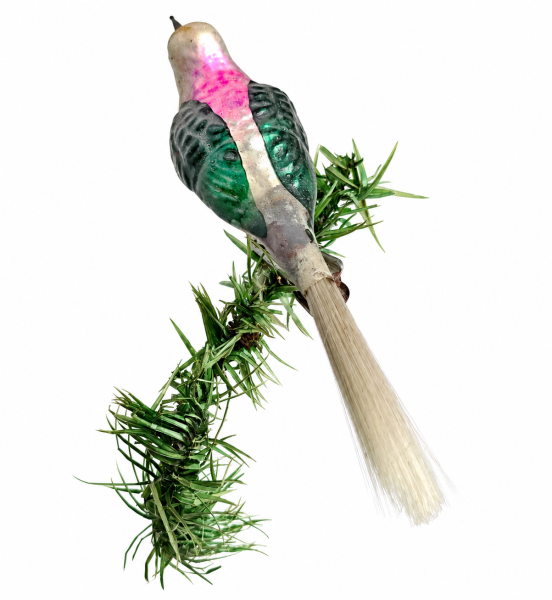 Singvogel auf Zwicker, Lauscha