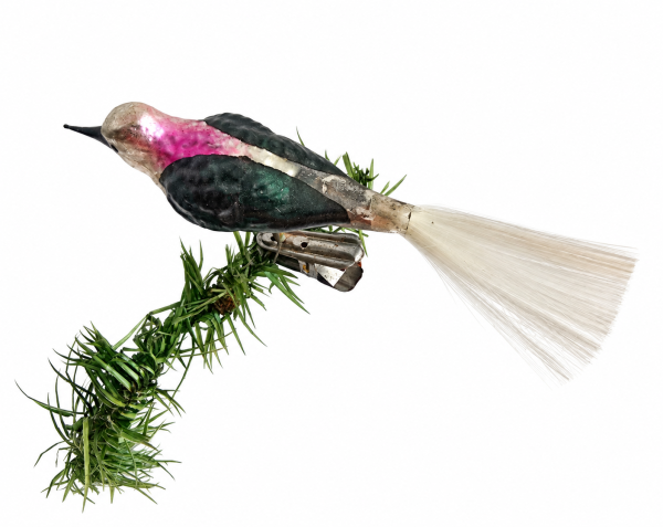 Singvogel auf Zwicker, Lauscha