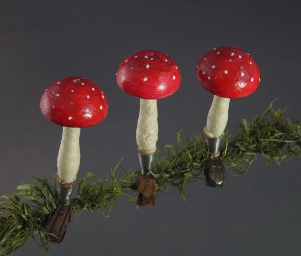 3 Fliegenpilze auf Zwicker ~ 1930