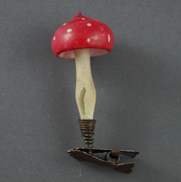 Fliegenpilz auf Zwicker ~ 1930