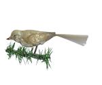 Glasornament,  Vogel auf Zwicker, ~ 1920