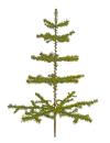 Antique Goose Feather Tree, 100 cm, ~1940