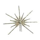 Gablonzer Christbaumspitze - Stern