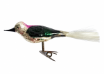 Singvogel auf Zwicker, Lauscha