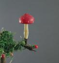 Fliegenpilz auf Zwicker ~ 1930